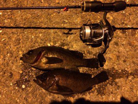 やっと２０Ｕｐ